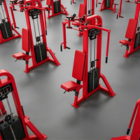 Liva LH-10 Appareil Commercial Pec Deck pour Deltéens Posterioriels, à Charge par Poids, Station Unique pour Entraînement Poitrine et Épaules Posterioriennes en Salle de Sport