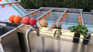 Profession elle Ozon-Frischmais-Wasch-Kartoffelchips-Verarbeitung anlage Durian Washer Air Bubble Seegurken-Reinigungs maschine - Product Image 5