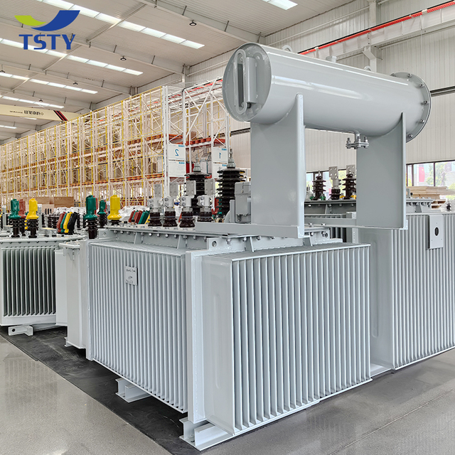 TSTY S22 11kv 33kv 50kva 100kva 200kva 300kva 3 Phase Oil Immersed Transformer 50/60Hz