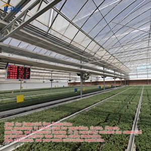 Soluzione per Serre Agricole per Produzione Alimentare Commerciale e Agribusiness Tutto l'Anno - Product Image 6