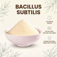 Poudre lyophilisée active de probiotiques Bacillus Subtilis multi-spécifiques en stock avec livraison gratuite