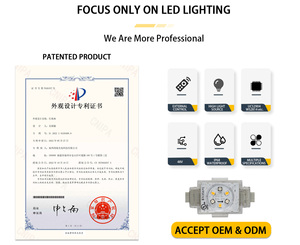 Precio de fábrica Ip68 Exterior Impermeable UCS2904 WS2811 RGBW Vacaciones permanentes Decoración de Navidad Luz Pixel Led Point Light - Product Image 6