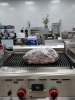 Grill de table commercial de haute qualité à gaz en pierre volcanique pour restaurant, barbecue, cuisine et équipement hôtelier