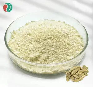 Erbspirito 98% genisteina in polvere sophora japonica estratto di genisteina in polvere