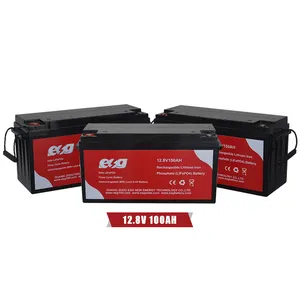 ESG Lifepo4 Battery 12V 100Ah 150Ah 200Ah 300Ah 400Ah Deep Cycle 12 V Volt 12.8V Solar 24V 12V Lithium Ion Battery