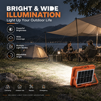 Lampe solaire LED blanche portable pour le camping en extérieur, étanche IP65, boîtier en ABS, batterie au lithium intégrée, certifiée CE, utilisation en jardin