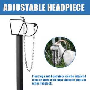 Soporte para ordeño <span class=keywords><strong>de</strong></span> <span class=keywords><strong>cabra</strong></span>, soporte <span class=keywords><strong>de</strong></span> recorte <span class=keywords><strong>de</strong></span> ganado, estante <span class=keywords><strong>de</strong></span> <span class=keywords><strong>cabra</strong></span> o cama para cortar pezuñas y esquilar ovejas, <span class=keywords><strong>precio</strong></span> al por mayor - Product Image 4