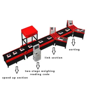 Parcel Sorter Sorter Conveyor System Package Box Parcel Sorter Conveyor Or Express Package Sorting Machine