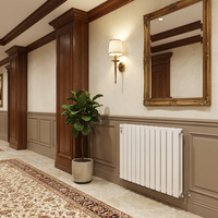Radiateur design en acier 6015 à tubes plats, double passage horizontal, 600 mm de haut, blanc, pour chauffage domestique