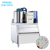 Machine à glace en flocons Coldsmart pour supermarché et cuisine, 380V 220V R134a, industrielle, OEM
