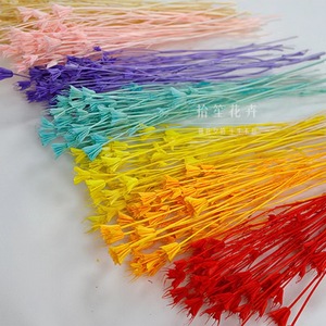 Nuevas Ideas <span class=keywords><strong>de</strong></span> productos 2025 flor Octágono <span class=keywords><strong>de</strong></span> <span class=keywords><strong>flores</strong></span> secas para el hogar/boda/<span class=keywords><strong>Parque</strong></span>/decoración <span class=keywords><strong>de</strong></span> fiesta flor Octágono - Product Image 6