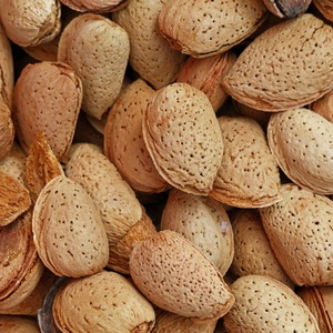 <span class=keywords><strong>Amandes</strong></span> entières brutes avec coque, non décortiquées, récolte fraîche, fournisseur de noix de qualité supérieure - Product Image 3