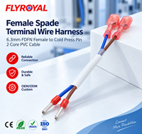 Câble terminal femelle FDFN 6,3 mm à 2 conducteurs en PVC, déconnexion rapide, broche à sertir à froid, faisceau de câbles terminal femelle OEM personnalisé