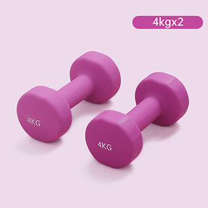 Mancuernas Ligeras al por Mayor para Mujeres, Entrenamiento de Fuerza, Equipo de Gimnasio en Casa, Fitness, Moldeación Corporal, Pesas Libres - Product Image 5
