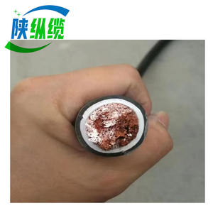 Cavo per Computer isolato in PE schermatura totale DJYVP <span class=keywords><strong>DJYPV</strong></span> DJYPVPR DJYVP2 cavi di alimentazione in filo di rame intrecciati - Product Image 4