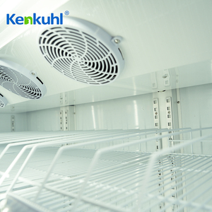 ตู้แช่เย็นแสดงสินค้าแบบตั้งตรง Kenkuhl รุ่น SC1120 พร้อมประตูกระจกและไฟ LED สำหรับขายส่งและร้านสะดวกซื้อ - Product Image 5