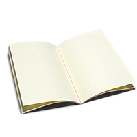 Impression personnalisée 2023 A4 A5 A6 B5 Journal planificateur Notebook vente en gros couverture souple Notebook impression