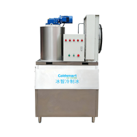 Machine à glaçons en acier inoxydable Coldsmart, machine à glaçons en flocons de 1 tonne pour les petits marchés de poissons