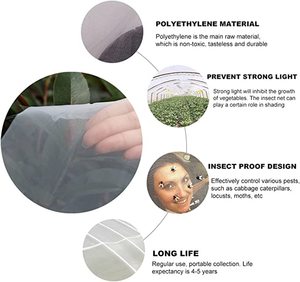 Çin fabrika kaynağı Hdpe plastik şeffaf sera koruma tarım Anti böcek geçirmez Net - Product Image 4