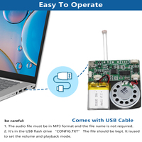 Carte de vœux audio DIY programmable 8M USB enregistrable avec capteur de lumière, puce sonore, haut-parleurs et batterie lithium rechargeable