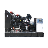 Grupo Electrógeno Diésel de 145/210/220kW 50/60Hz con Motor ATS Certificado CE y Arranque por CC para Muelles de Carga y Acuicultura