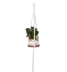 Decoration Circles <b>Wall</b> Metal Designer Modern Customized Macrame Plant Hanger for <b>Wall</b> and Window Decoration - Product Image 3