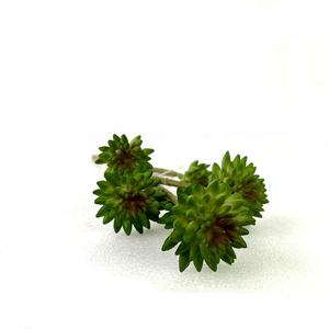 <span class=keywords><strong>Aeonium</strong></span> Silk 6หัวเจอเรเนียม, ไมโครแลนด์ดอกไม้ประดิษฐ์พืชสีเขียวเป็นมิตรกับสิ่งแวดล้อมทนทานคริสต์มาสตั้งโต๊ะ - Product Image 4