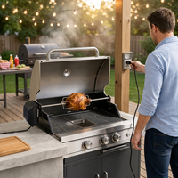Gewerblicher Schwarzbeschichteter BBQ-Spießmotor mit Vierkant-Antriebsanschluss und Gleitklemme – AC-Rotisserie-Set vom Hersteller