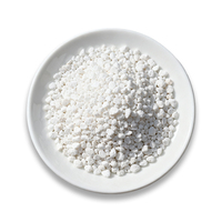 Perlite expansée fine de 1 à 3 mm : Prévient la pourriture des racines, stock stable, chargement rapide pour le jardinage sur balcon, la culture intérieure et les usines de plantes.