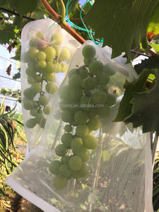 ถุงตาข่ายป้องกันองุ่นผักผลไม้30*20ซม. ถุงป้องกันผลไม้ถุงตาข่ายองุ่น - Product Image 5