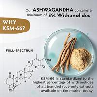 Vente en gros en vrac de capsules d'ashwagandha végétaliennes à haute puissance de 1000 mg, 60 à 90 unités, pour le stress