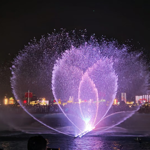 ציוד מזרקות סיטונאי, תאורת לד צבעונית, מזרקת מים מוזיקלית רוקדת לבריכה - Product Image 4