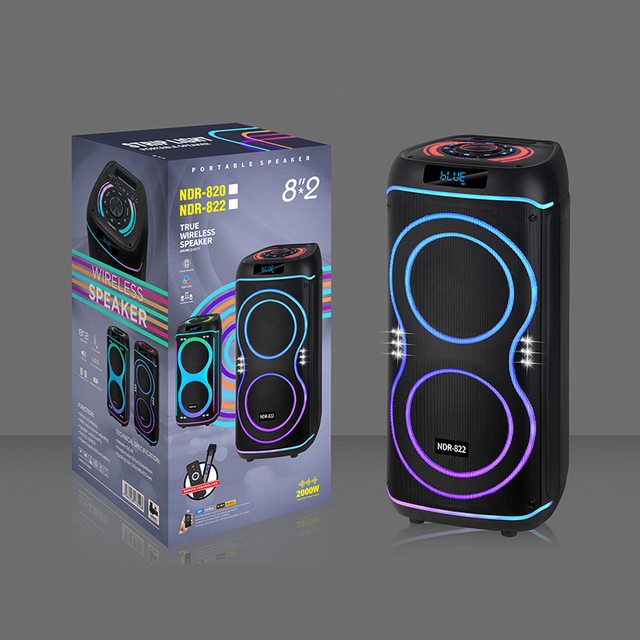 NDR--822 High-Power Dual 8" Woofer Portable Speaker Enclosures RGB LED Lighting Rechargeable for Outdoor Activity