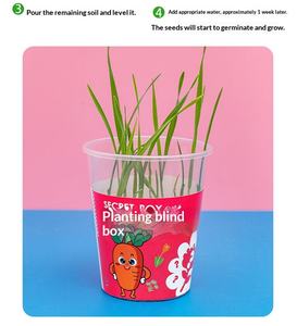 Boîte mystère <span class=keywords><strong>de</strong></span> plantes en pot en plastique pour enfants <span class=keywords><strong>de</strong></span> <span class=keywords><strong>maternelle</strong></span> – Petits cadeaux pour les 7-12 ans, utilisation créative sur bureau - Product Image 2