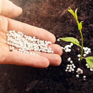 <span class=keywords><strong>Engrais</strong></span> composé Npk 171717 granulaire de rouleau nutritif de plante de sol de haute qualité - Product Image 5