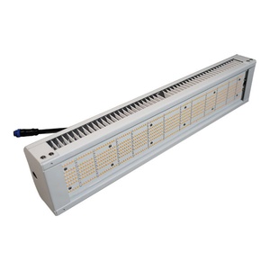 Luces LED de Cultivo de Espectro Completo Innovadoras para Agricultura, 320W, Uniformes, para Invernaderos y Floricultura - Product Image 4
