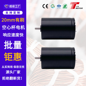 มอเตอร์ไร้แกน 2030 พร้อมลูกปืนคู่, มอเตอร์ไร้แกนแบบมีแปรงถ่าน 12V, เส้นผ่านศูนย์กลาง 20 มม. - Product Image 5