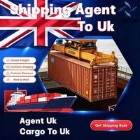 Agente de Transporte Marítimo, Servicios Logísticos en Felixstowe y Puerto de Dover, Reino Unido, Seguimiento de Envíos Puerta a Puerta, Importador