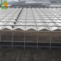 Tomaat Groen Huis Tunnel Invernaderos Polycarbonaat Multi-Span Agrarische Commerciële Kas Te Koop