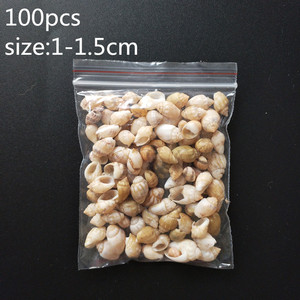 Conchas Marinas Mixtas Pequeñas en Bolsa, Decoración Náutica para Acuarios, Adornos Naturales, Mini Conchas Mediterráneas - Product Image 4