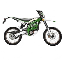 Autocollants de moto de haute qualité TZ253, pièces de performance pour moto, film métallique, design personnalisé pour SURRON Light Bee