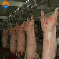 Ligne d'abattage de porcs hautement automatisée, équipement modulaire d'abattoir de porcs, machines d'abattage en acier inoxydable, projet clé en main