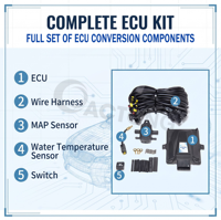 ACT 6134  ECU de inyección secuencial de GLP/GNC de 48 pines, conjunto completo MP48, ECU de autogás para sistema de conversión de automóviles a autogás
