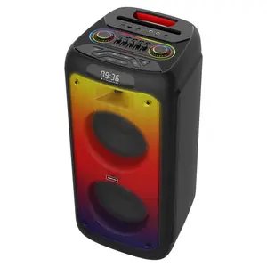 Dual 8 inch 10 inch Outdoor Music RGB Karaoke Bluetooth System Home Speaker With Wireless Microphone For Kids Adults