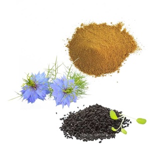 Bán Hàng Nóng Nigella Sativa Chiết Xuất CAS 490-91-5 Thymoquinone Bột Với Số Lượng Lớn - Product Image 6