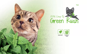 Spray de Aroma Mágico para Gatos AFP Remove Stress Green Rush - Product Image 2