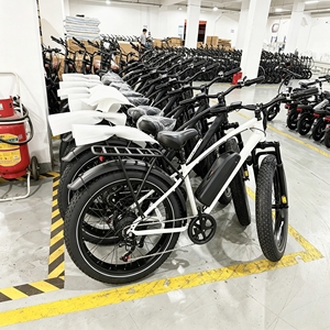 Manufacturer 750W Cargo Electric Bike 26*4 Inches Fat Tire Ebike Local Warehouse Free Shipping for Efficient Food Delivery - Product Image 6