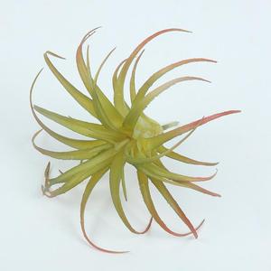 Plante succulente artificielle haut de gamme en plastique écologique pour décoration de Noël, de jardin et de maison, mur floral, décoration de maison chinoise - Product Image 5