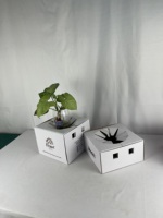 Boîte de fleuriste personnalisée 8*8*5 pouces, boîte de livraison de fleurs, boîtes de fleurs pour arrangements, transport sécurisé d'arrangements floraux