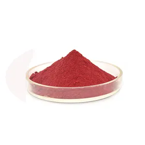 wholesale Price Natural Red Pigment powder E120 Cochineal Carmine Powder